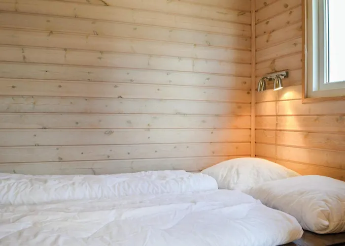 4 Star In Tatil Evi